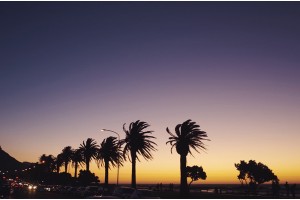 A Beautiful City - Africa